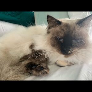 Meet your Posher, Lani